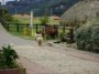 Sector rural no cuenta con suficiente presupuesto