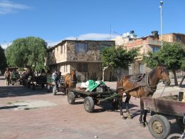 Se inicia Censo de Veh�culos de Tracci�n Animal � � � � DESPEGUE DE LA POL�TICA P�BLICA PARA LAS FAMILIAS DE CARRETEROS