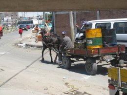 La licitaci�n de la UAESP una oportunidad del Distrito: Proyectos Sociales Productivos � � � � � � � � NECESIDAD DE MILES DE FAMILIAS QUE RECICLAN EN BOGOT�