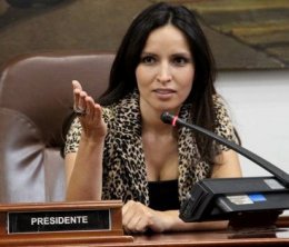 Informe de Gesti�n 2011 Junio