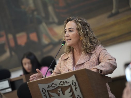 <p>Concejal Sandra Forero propone al Alcalde Galán la construcción de 200 mil viviendas sociales entre el 2024 y 2028</p>